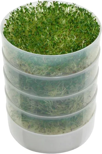 Vista 2 de KITCHEN CROP VKP Marcas Germinador de 4 Bandejas