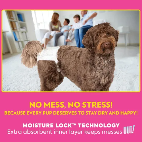 Vista 5 de . Pañales desechables para perras, para el cuidado de mascotas, absorbentes con ajuste a prueba de fugas, tecnología de bloqueo de humedad
