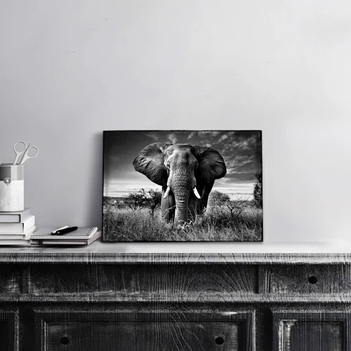 Vista 5 de Arte de pared blanco y negro de elefante – Pintura rústica en lienzo – Imagen de animales africanos – Obra de arte natural para decoración de baño
