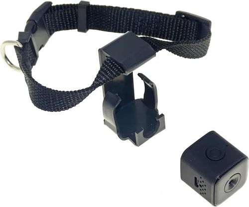 Vista 2 de Monitor del grabador de vídeo de la cámara DVR del collar del animal doméstico de Digitaces para el cachorro del gato