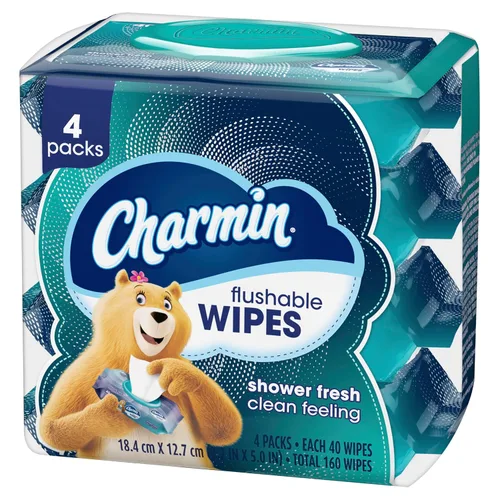 Vista 8 de Charmin Toallitas desechables, 160 toallitas en total (4 paquetes de 40)