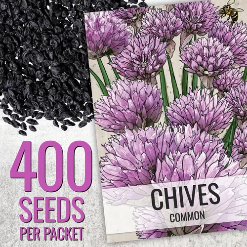 Vista 2 de Seed Needs Semillas de cebollino para plantar ajo y hierbas comunes de cebollino, herencia sin OMG y semillas de jardín sin tratar para plantar un