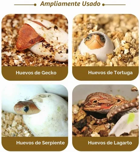 Vista 4 de Caja de cría de reptiles de 16 rejillas - Incubadora de plástico profesional para ecko, lagarto y cría de melena