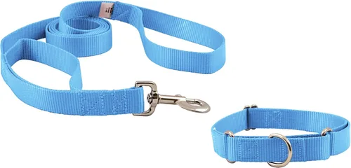 Vista 26 de Country Brook Design - Collar de perro de nailon Martingale y correa de doble asa-Negro-S