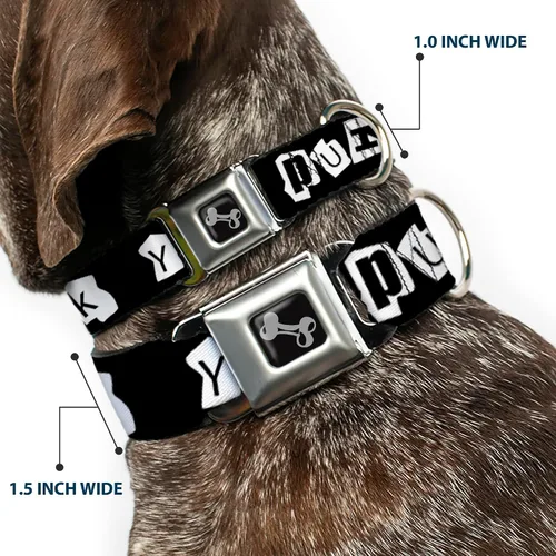 Vista 2 de Collar de perro hebilla de cinturón de seguridad punk you negro blanco 9 a 15 pulgadas 1.0 pulgadas ancho
