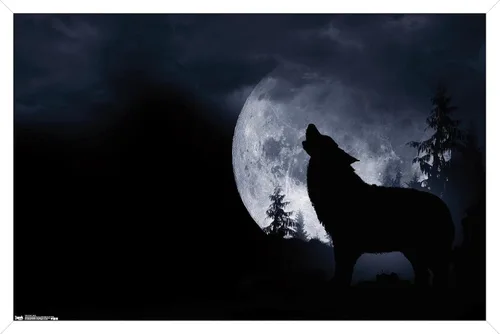 Vista 14 de Trends International Póster de pared de lobo - aullido, 14.725 x 22.375 pulgadas, versión enmarcada de madera de granero