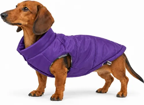 Vista 10 de DJANGO Abrigo de invierno reversible para perros con acolchado – Chaqueta de invierno cálida para perros y abrigo aislante repelente al agua