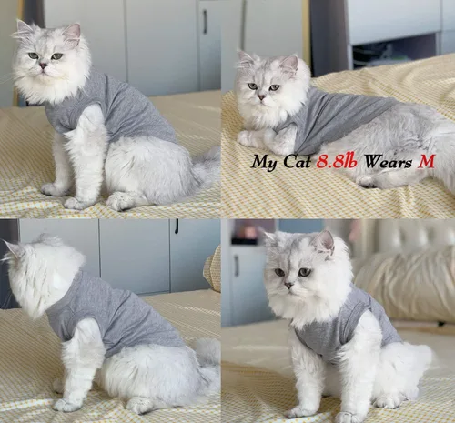 Vista 6 de Camisas para perros, ropa para mascotas, ropa en blanco, 3 piezas, chaleco para cachorros, ropa para gatos, chalecos de algodón suave