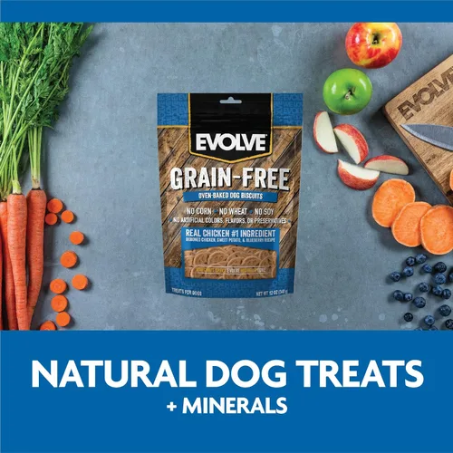 Vista 9 de Evolve Pet Food Galletas de pollo deshuesado sin granos, batata y arándanos para perros, 12 onzas