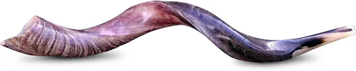Vista 3 de Amen Judaica Yemenite Kudu Horn Shofar mitad pulida natural 28-30 pulgadas más bolsa