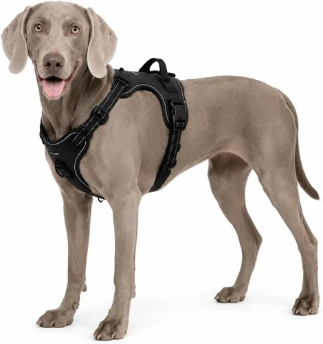 Vista 6 de Arnés negro sin tirones para perro con 2 clips para correa, chaleco acolchado suave para perros pequeños, chaleco reflectante ajustable fácil