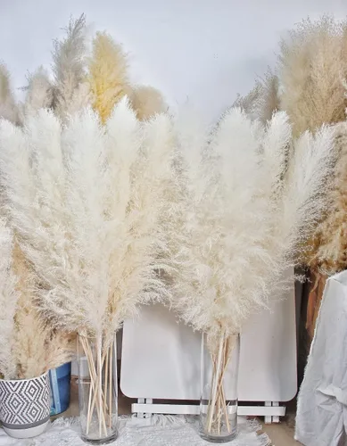 Vista 6 de 10 tallos de hierba de las pampas blanca de 40 pulgadas, decoración alta, hierba de las pampas grande, ramo de decoración del hogar bohemio neutro.