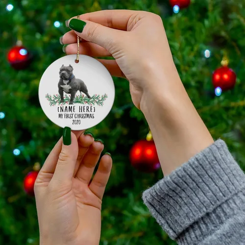 Vista 4 de Nombre personalizado con nombre personalizado, año American Bully azul, gris, decoraciones de Año Nuevo 2024, regalos para el primer 2023, adornos