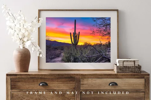 Vista 4 de Southwestern Photography Print (Not Framed) Picture of Saguaro Cactus at Sunrise in Sonoran Desert near Tucson Arizona Western Wall Art Nature Decor