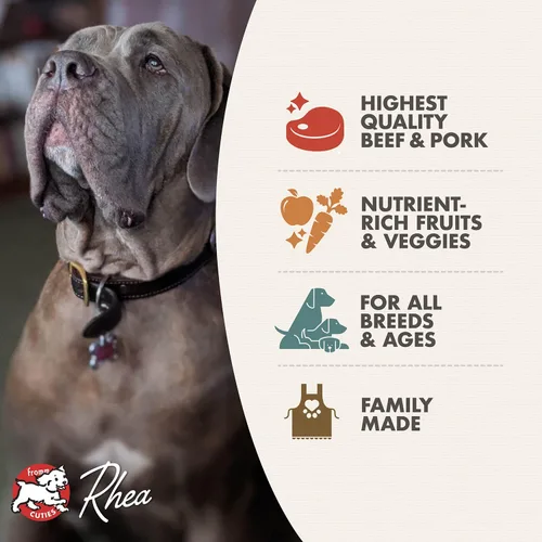 Vista 3 de Alimento seco para perros Fromm Four-Star Nutritionals, receta de Frittata de res y vegetales - Comida seca premium para perros - Receta de res - 4