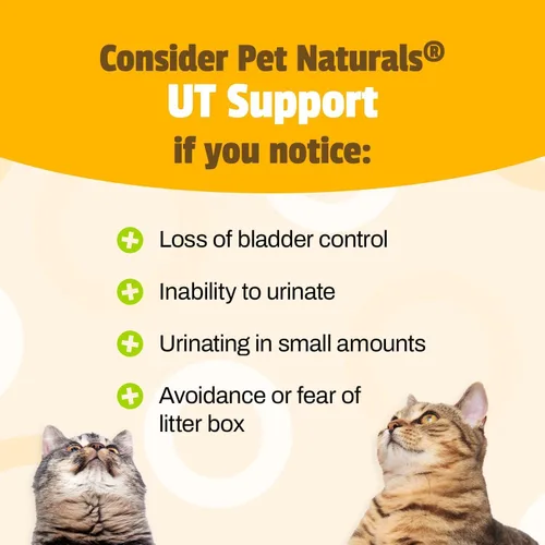 Vista 4 de Pet Naturals UT Support Suplemento del tracto urinario para gatos, 60 masticables