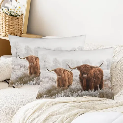 Vista 3 de Funda de Almohada Highland Cow Tamaño Queen Juego de 2 Vaca Occidental Animal Vida Silvestre Casa de Granja Pastizales Funda de Almohada Lumbar