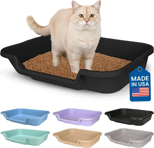 Vista 58 de KittyGoHere - Caja de arena para gatos mayores, sartén pequeña con cuchara jumbo de mango largo, caja de arena para gatos de entrada baja, ligera