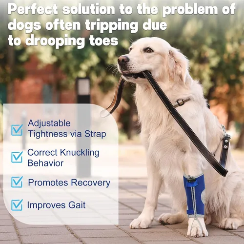 Vista 7 de Muñuelos para perros para hiperflexión de falanges causada por daño del nervio ciático y deformidad flexional carpiano - Correas de bloqueo dobles