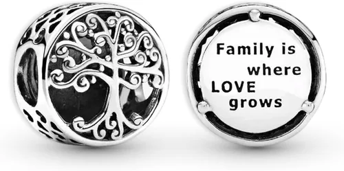 Vista 29 de Annmors S925 Sterling Silver Charms for Womens Pandora Moments Bracelets