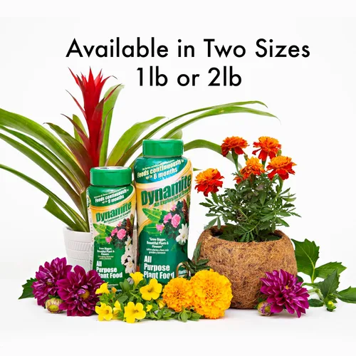 Vista 3 de Dynamite - Alimento vegetal multiusos de 9 meses de 2 libras