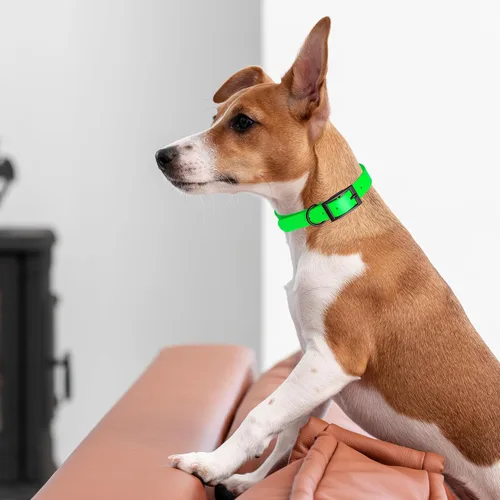 Vista 27 de Dogline Biothane - Collar impermeable para perro con hebilla de liberación rápida, resistente cincha de nailon recubierta con resistente y a prueba