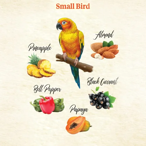 Vista 4 de Kaytee Food From The Wild Golosinas Naturales para Aves Mascotas, 3 oz