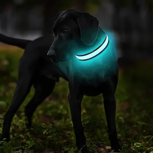Vista 2 de MASBRILL Collares de perro con luz LED, collar de perro recargable iluminado resistente al agua, para caminar por la noche, collares para perros