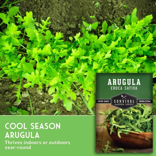 Vista 5 de Semillas de rúcula para plantar, semillas de ensalada de cohetes tradicionales para cultivo en interiores, exteriores, contenedores y microverdes