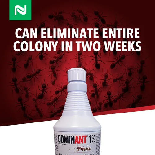Vista 4 de Dominant - Cebo líquido para hormigas al 1%, fórmula a base de borax, atrae y elimina las hormigas que se alimentan de dulces, eficaz para colonias