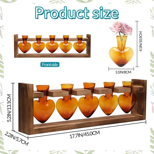 Vista 3 de Estaciones de propagación colgantes de terrario para plantas, regalo para mujeres, soporte para plantas de aire con soporte de madera, cristal