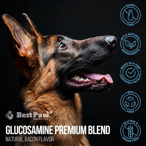 Vista 10 de Medicina natural anti-envejecimiento para artritis articular y displasia de cadera, alivio del dolor para perros y gatos de la marca Glucosamina