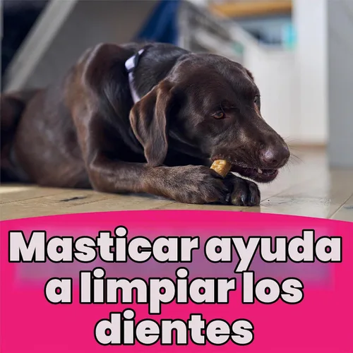Vista 9 de Purina Busy Bone - Golosinas masticables para perros adultos, originales, bolsa de 10