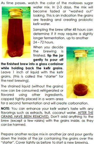 Vista 3 de Florida Sun Kefir Agua Deshidratada Kéfir Granos (Cristales, Tibicos)