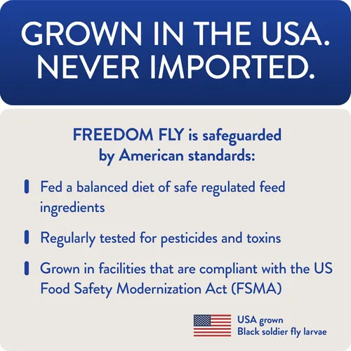 Vista 4 de FLOCKLEADER Freedom Fly, All American Dry Black Soldier Fly - Golosinas de aves de corral, 1 libra