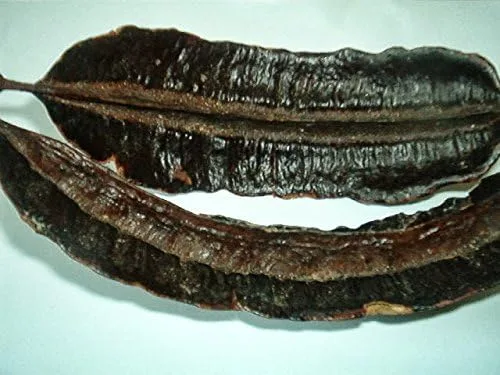 Vista 2 de Fruta des 4 cote, TETRAPLEURA TETRAPTERA, Prekese