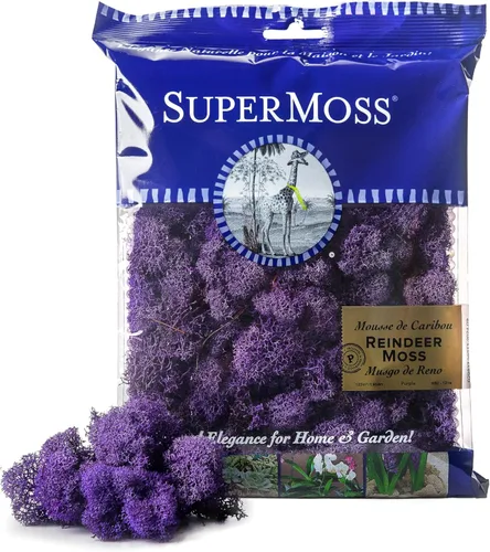 Vista 40 de Super Moss (23164) Musgo de reno preservado, fucsia, 2 onzas Musgo preservado suave, decoración del hogar, manualidades y terrarios, diseño