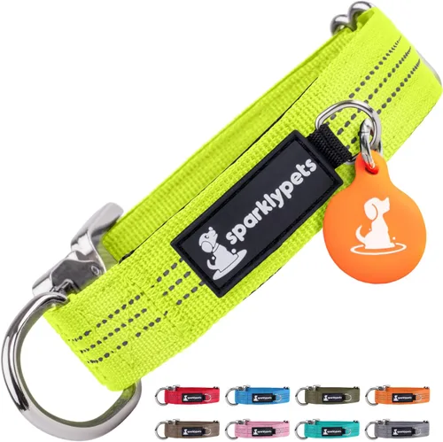Vista 28 de Collar de perro extra pequeño con hebilla cromada de liberación rápida y soporte AirTag – Collares de razas pequeñas de primera calidad con rayas