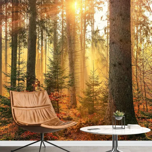 Vista 39 de Quiet Path - Murales de pared 3D, papel pintado panorámico extraíble de vegetación del bosque, adecuado para decoración del hogar, sala de estar