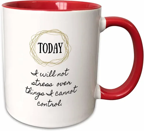 Vista 12 de 3dRose Image of Today I Will Not Stress Over Things I Cannot Control - Taza negra de dos tonos de 11 oz