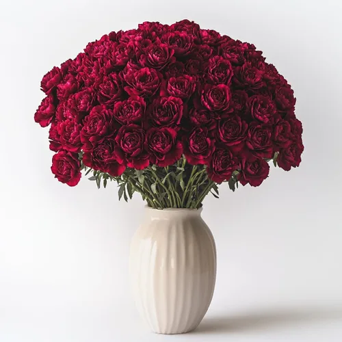 Vista 2 de GlobalRose 100 flores de clavel color burdeos, claveles de origen responsable, flores frescas seleccionadas a mano para graduación, aniversario