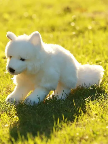 Vista 4 de TAMMYFLYFLY Arctic Fox Peluche de 11 pulgadas, 11.0 in, suave muñeco de peluche de Snow Queen Fox (B-Run)
