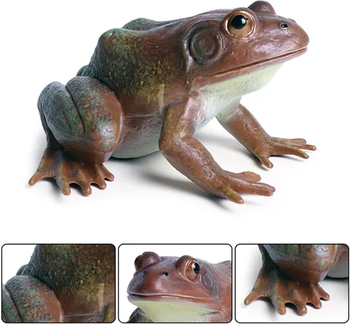 Vista 2 de Juguete de rana de árbol – Juguetes de personaje de bosque lluvioso – Figura de goma de rana toro para niños pequeños – Ideal para decoración