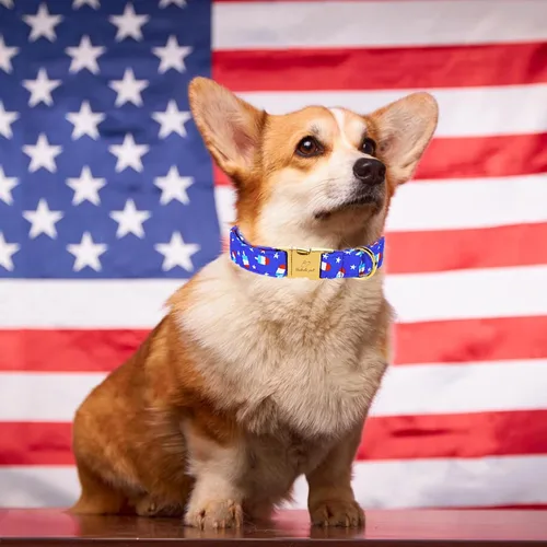 Vista 326 de Collar para perros del 4 de julio, collares patrióticos azules para cachorros y perros pequeños, ligero y ajustable 1776 collares para cachorros