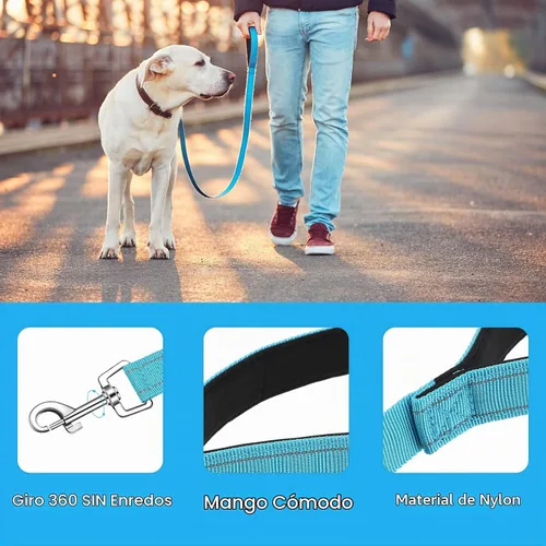 Vista 3 de 6 correas para perro a granel para perros medianos y grandes, paquete de nailon resistente, correas para perros, mango acolchado, collar reflectante