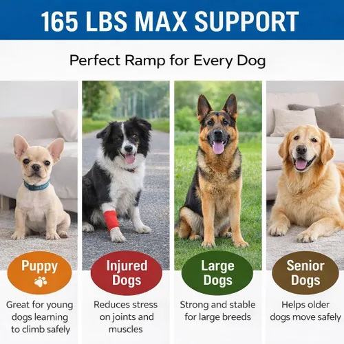 Vista 2 de Japard Rampa para perros para automóvil, 63 pulgadas de largo y 17 pulgadas de ancho, rampa portátil plegable para mascotas con superficie