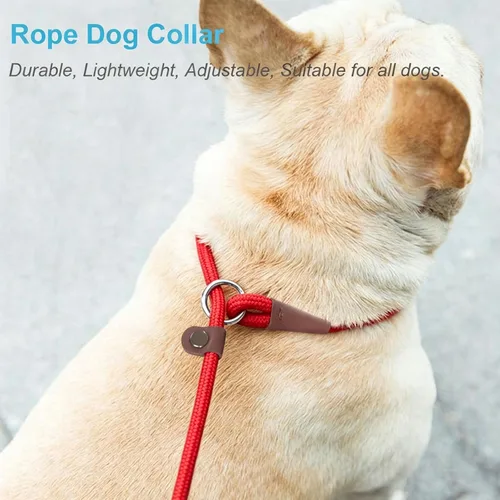 Vista 29 de MayPaw Collar ajustable de cuerda de nailon para entrenamiento de perros, collares de perro Martingala redondos sin tirones para perros pequeños