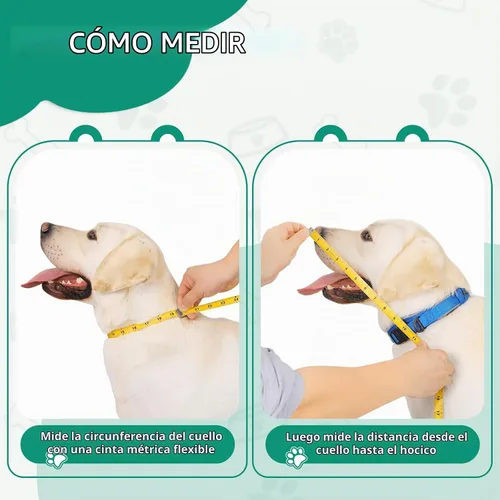 Vista 4 de GLADOG Collar de cono suave para perro, 3 piezas (XL es solo 1 unidad) cono de plástico flexible para perros después de la cirugía, collar
