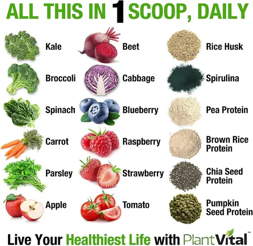 Vista 2 de Plantvital Proteína vegana orgánica sin sabor en polvo, 15 superalimentos, verduras y probióticos, proteína orgánica a base de plantas, todos