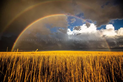 Vista 7 de Great Plains Photography Print (Not Framed) Picture of Double Rainbow Over Golden Wheat Field on Stormy Spring Day in Kansas Western Sky Wall Art